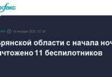 Крупная атака на беспилотники в Брянской области: уничтожено 11 дронов 11