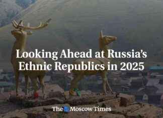 Развитие этнических республик России к 2025 году 2025