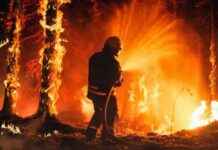 Пожары в Лос-Анджелесе: дом за $5 млн уничтожен, хозяину пришлось наблюдать 5