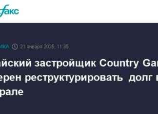 Китайский застройщик Country Garden планирует реструктуризацию долга в феврале country-garden