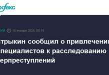 Привлечение IT-специалистов к расследованию киберпреступлений: ключевая информация t