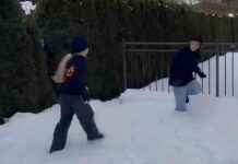 Дети Галкина и Пугачёвой играют в снежки в горах.