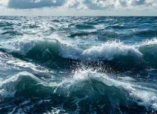 Тревожные изменения в климате Тихого океана: анализ и прогноз