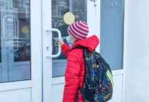 Ограничения на фоне метапневмовируса: планы в российских школах