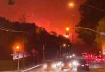 Режим масштабного бедствия в Калифорнии: Власти США объявили