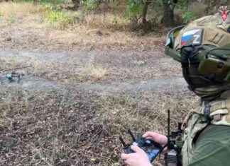 Как российская «птичка» стала добычей ветерана британской армии