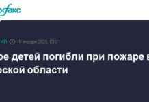 Трагедия: двое детей погибли при пожаре в Курской области