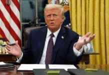 Прогноз протестов в США из-за войны Трампа с трансгендерами