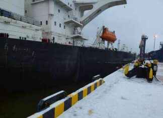 Собственника танкера Koala должны удалить судно из порта Усть-Луга за три месяца koala