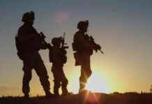 Ответ: Победа наших войск в Запорожской области: уничтожение пехоты ВСУ