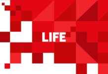 Встреча Путина и Трампа: дата и место встречи после переговоров в Эр-Рияде