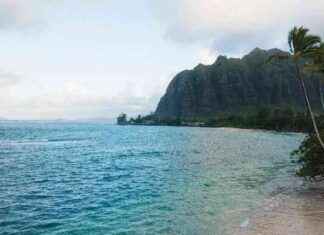 Поляки собирают деньги на покупку Гавайев