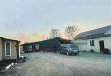 ДТП в Приморье: Мужчина сбил двух девочек из-за коврика под педалью газа