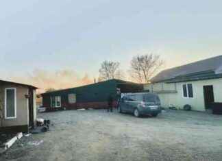 ДТП в Приморье: Мужчина сбил двух девочек из-за коврика под педалью газа