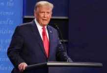 Прекращение огня на Украине: Заявление Трампа