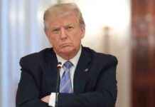 Трамп вынуждает Путина уступить по сделке с Украиной