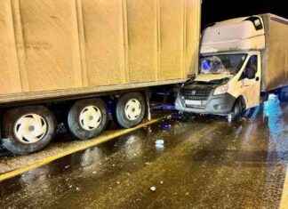 11 автомобилей столкнулись на трассе М-10: пострадавшие и причины ДТП 11-10