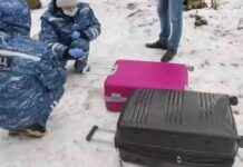 Расследование СК: обнаружены сумки с человеческими останками в Петербурге.