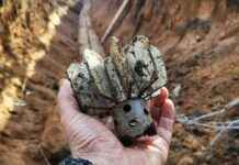 Бойцы нацбата ВСУ обвинены в минировании русскоязычных сослуживцев