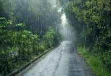 Потрясающие наводнения в Пакистане: 13 погибших 13