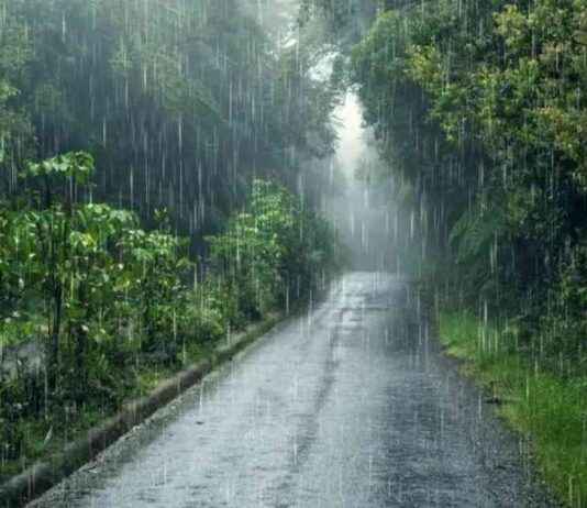 Потрясающие наводнения в Пакистане: 13 погибших 13