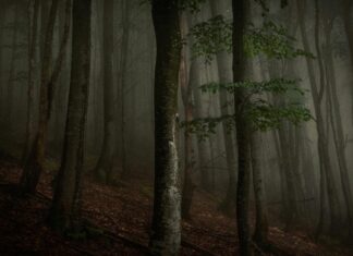 Палау: Уникальные Тайны И Природа, Которые Вы Должны Узнать