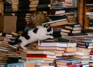 Почему Постоянно Хочется Спать: Узнай Причины И Решения!