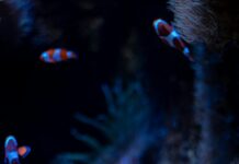 Гемодиализ Это Спасение: Как Он Изменяет Жизнь Пациентов