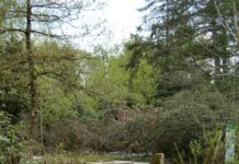 Уитни Мэтерс: Как Она Изменила Мир Искусства и Культуры?