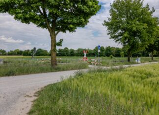 9 Дней После Смерти: Что Происходит С Душой? Узнайте Ответ!