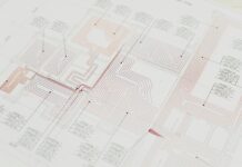 Спирея: Как Правильно Ухаживать За Этим Удивительным Растением