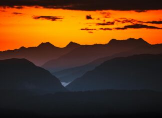 Коронавирус Краснодарский Край: Как Защитить Себя И Близких?