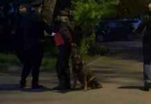 Видео с девушкой, угрожавшей офису микрозаймов в Москве: что показала прокуратура