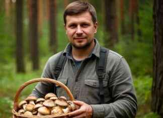 Как различить сморчки от ядовитых грибов: полезные советы