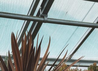 Юсуповский Сад: Откройте Для Себя Секреты Этой Красоты!