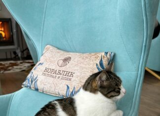 Причины Крымской Войны: Что Привело К Конфликту и Как Это Влияло?