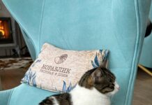 Тромбокрит Повышен: Причины, Симптомы И Как Снизить Уровень