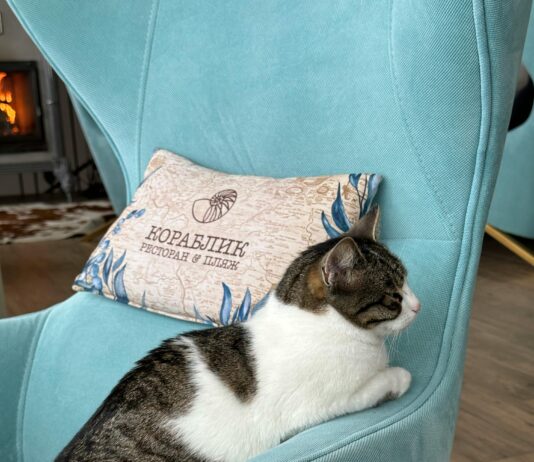 Тромбокрит Повышен: Причины, Симптомы И Как Снизить Уровень