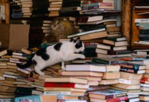 Причины Холодной Войны: Узнайте Неизвестные Факты И Тайны