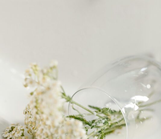 Ураган В Тверской Области: Как Он Изменит Нашу Жизнь?