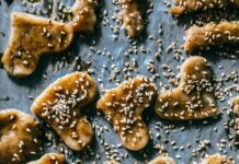 Клопы Фото: Как Узнать И Отличить Эти Насекомые?