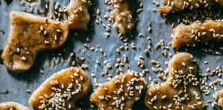 Клопы Фото: Как Узнать И Отличить Эти Насекомые?