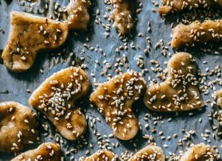 Клопы Фото: Как Узнать И Отличить Эти Насекомые?