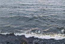 Коса Беляус: Невероятные Факты И Уникальные Тайны Природы