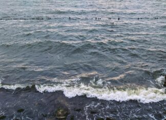 Коса Беляус: Невероятные Факты И Уникальные Тайны Природы