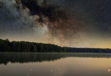 Навигатор 52: Как Выбрать Идеальный Устройство Для Путешествий