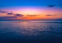 Водка Нефть: Как Эти Продукты Влияют На Нашу Культуру?