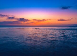 Водка Нефть: Как Эти Продукты Влияют На Нашу Культуру?